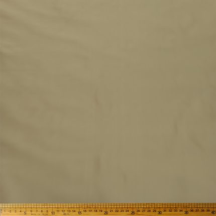 Raw Silk Beige AD-11296